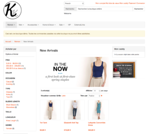 Symbolbild Online-Shop